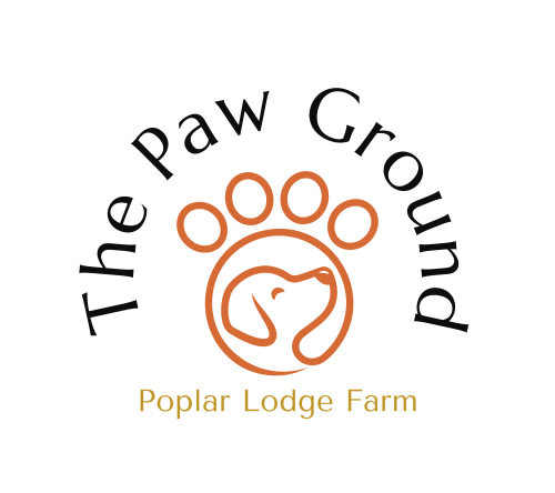 The Paw Ground