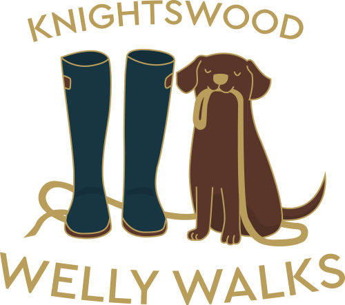 Welly Walks
